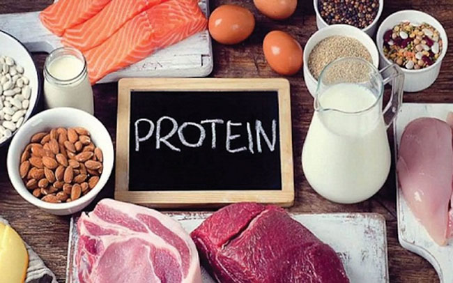 Protein là thành phần dinh dưỡng quan trọng, không thể thiếu.